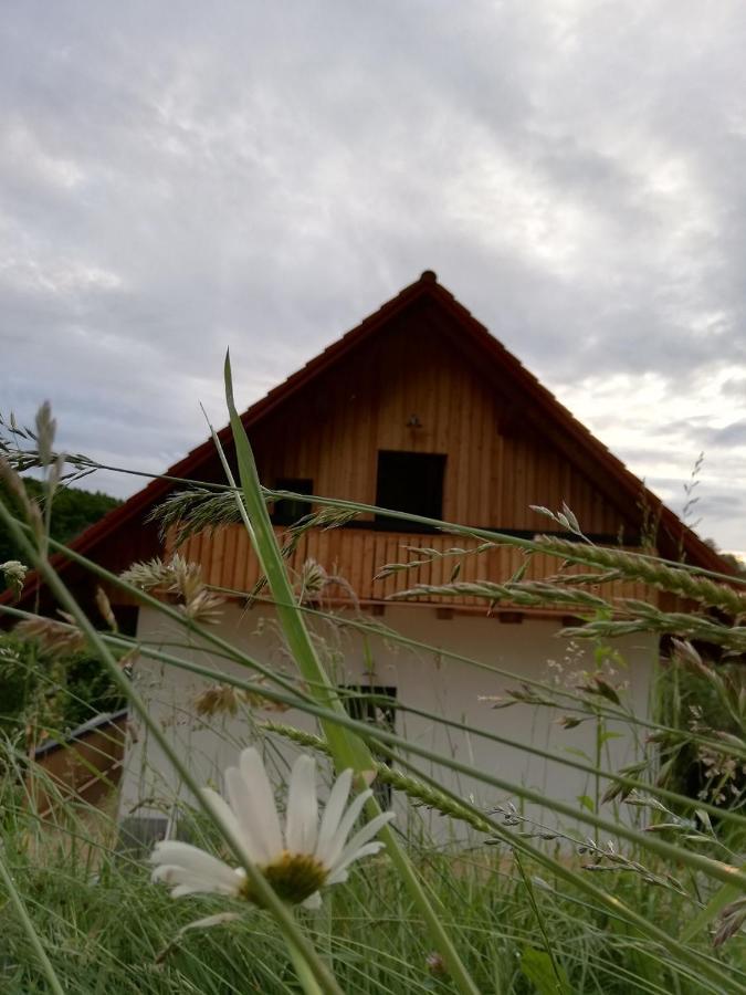 Сasa de vacaciones Bioferienhaus Muster - Dominkusch Possnitz